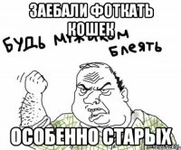 Заебали фоткать кошек Особенно старых