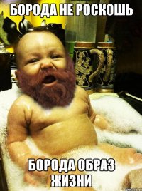 Борода не роскошь Борода образ жизни