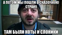 а потом мы пошли в сказочную страну там были коты и слоники