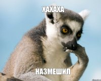 Хахаха Назмешил