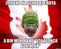 зловив на бекярді єнота а він мені каже "узбагойся братюня"