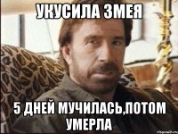 укусила змея 5 дней мучилась,потом умерла