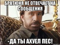 братюня не отвечает на сообщения -да ты ахуел пес!