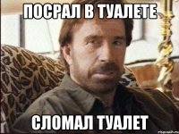 посрал в туалете сломал туалет