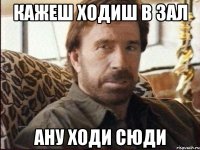 кажеш ходиш в зал ану ходи сюди