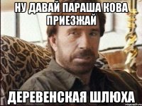 ну давай параша кова приезжай деревенская шлюха