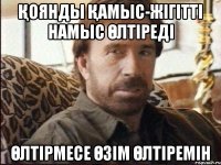 қоянды қамыс-жігітті намыс өлтіреді өлтірмесе өзім өлтіремін