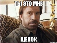 ты это мне щенок