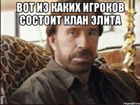 Вот из каких игроков состоит клан элита 