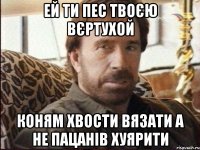ей ти пес твоєю вєртухой коням хвости вязати а не пацанів хуярити