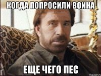 Когда попросили воина Еще чего пес