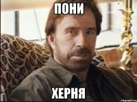 пони херня