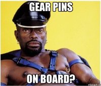 gear pins on board?