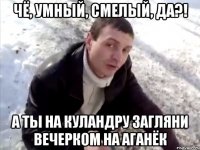 ЧЁ, УМНЫЙ, СМЕЛЫЙ, ДА?! А ТЫ НА КУЛАНДРУ ЗАГЛЯНИ ВЕЧЕРКОМ НА АГАНЁК