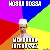 nossa nossa membrana interossea