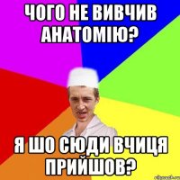 чого не вивчив анатомію? я шо сюди вчиця прийшов?