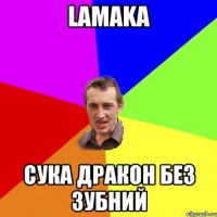 Lamaka Сука дракон без зубний