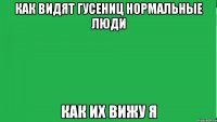 Как видят гусениц нормальные люди Как их вижу я