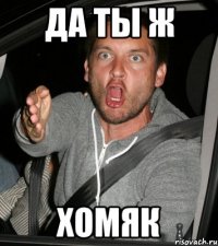 да ты ж хомяк