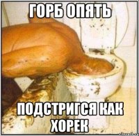 горб опять подстригся как хорек
