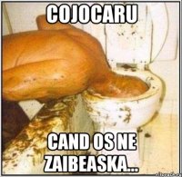 cojocaru cand os ne zaibeaska...