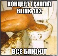 концерт группы blink-182 все блюют