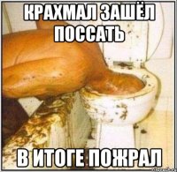 крахмал зашёл поссать в итоге пожрал