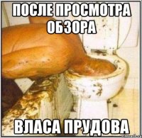 после просмотра обзора власа прудова