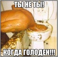 Ты не ты! Когда голоден!!!