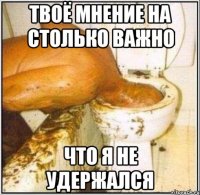 твоё мнение на столько важно что я не удержался