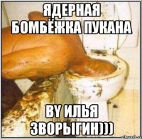 Ядерная бомбёжка пукана By Илья Зворыгин)))
