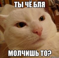 ты чё бля молчишь то?
