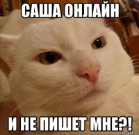 саша онлайн и не пишет мне?!