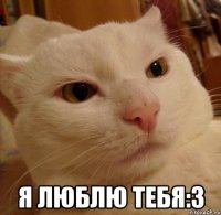  я люблю тебя:3