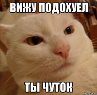 вижу подохуел ты чуток