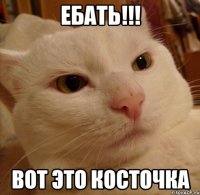 ебать!!! вот это косточка