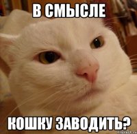 в смысле кошку заводить?