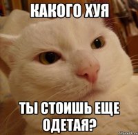 какого хуя ты стоишь еще одетая?
