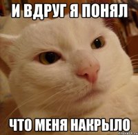 и вдруг я понял что меня накрыло