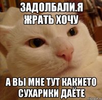 задолбали.я жрать хочу а вы мне тут какието сухарики даёте