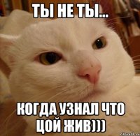 ты не ты... когда узнал что цой жив)))
