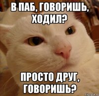 в паб, говоришь, ходил? просто друг, говоришь?