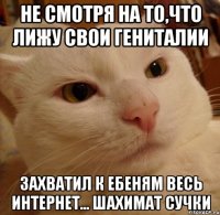 не смотря на то,что лижу свои гениталии захватил к ебеням весь интернет... шахимат сучки