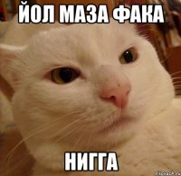 йол маза фака нигга