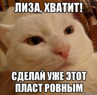 лиза, хватит! сделай уже этот пласт ровным