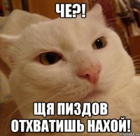 че?! щя пиздов отхватишь нахой!