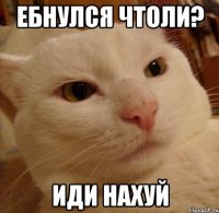 ебнулся чтоли? иди нахуй