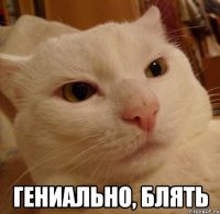  гениально, блять