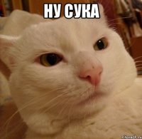 Ну сука 