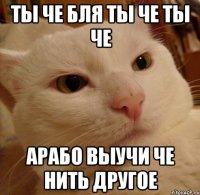 ты че бля ты че ты че арабо выучи че нить другое